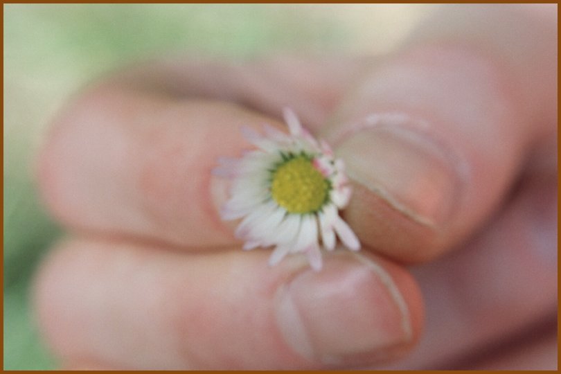 flowerpicking09