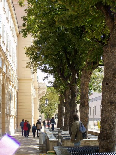 quartier 21 - view from electric avenue to main entrance